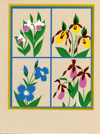 Gentians and Lady's Slippers